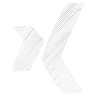 Xing Profil
